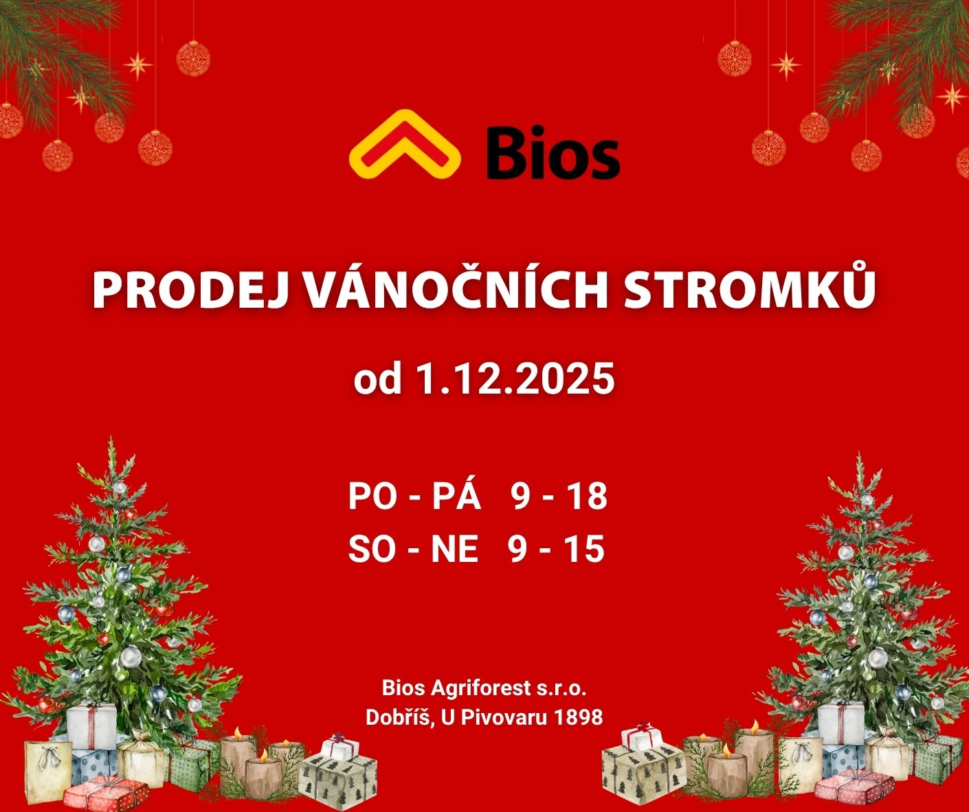 Vanocni-stromky-Bios.jpeg